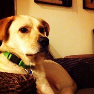 Meet your Posher, Ely